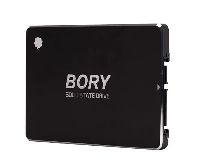 Bory 256 GB Bory Sata3 R500-C256G SSD 550/510 Mbs